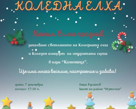 Палят светлините на елхата в район 