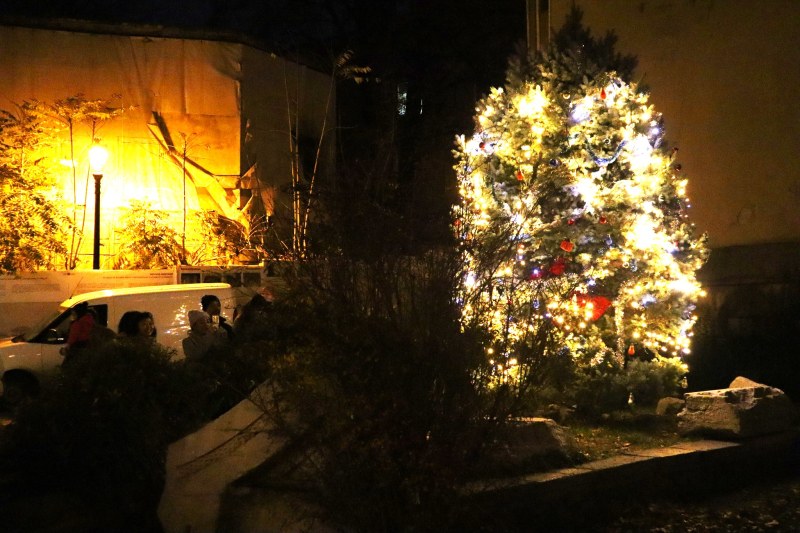 Коледното дърво светва за фестивала 