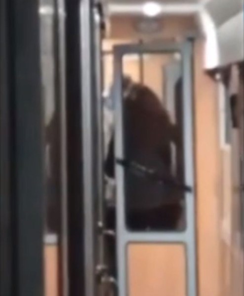 Мъж нападна кондукторка във влак до гара Стамболийски
