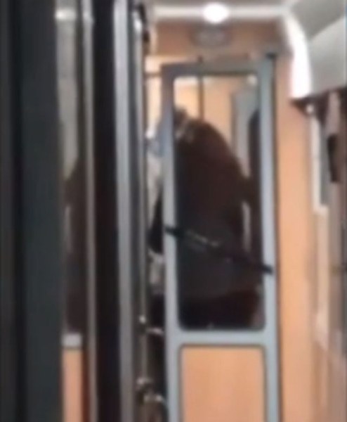 БДЖ започва проверка след нападението на кондукторка във влака Пловдив-София