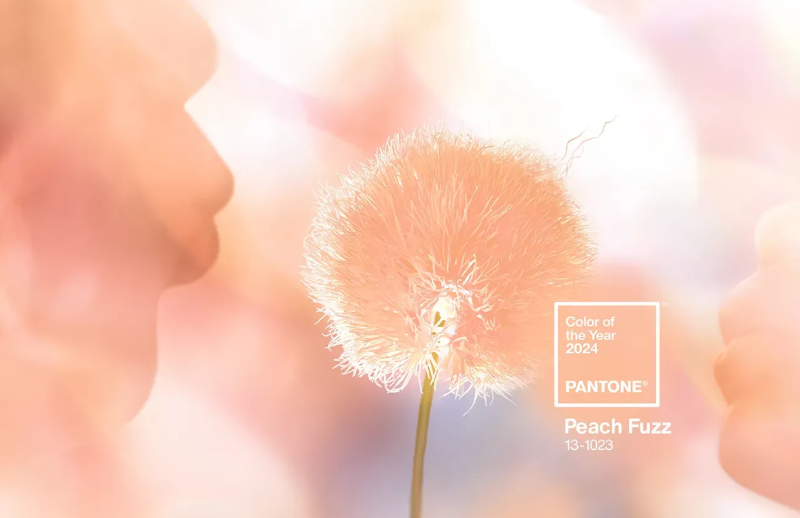 В четвъртък Институтът Pantone обяви своя цвят на годината за