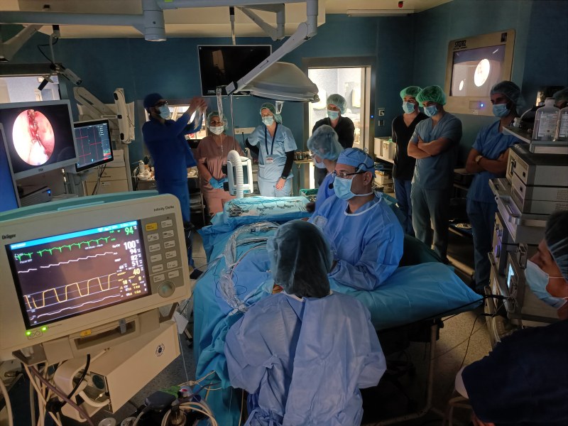 Млади лекари се учиха от операции на живо с модерна апаратура от водещи УНГ специалисти в Пловдив