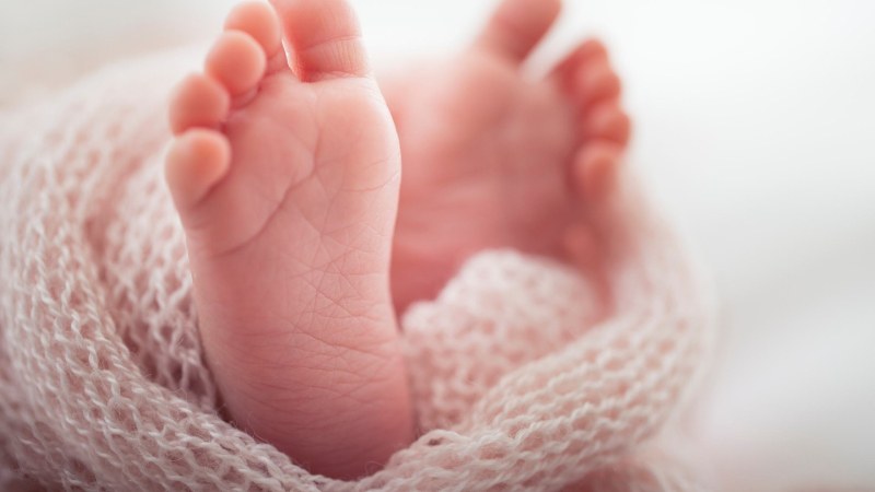 Откриха тяло на новородено бебе пред сграда в Англия