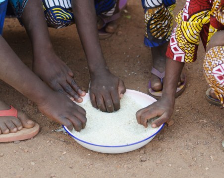 50 милиона души в Африка ги грози глад през 2024