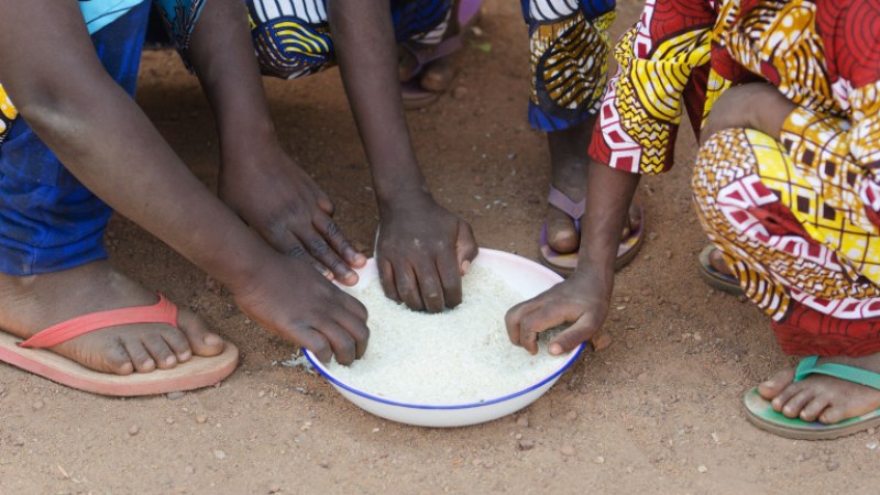50 милиона души в Африка ги грози глад през 2024