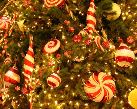 Деца от различни целеви групи ще посрещнат Дядо Коледа и Снежанка в кметството на 