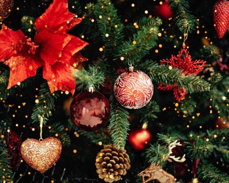 Коледна алея ще „изгрее” в район „Западен