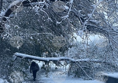 Обилен снеговалеж в Смолянско причини неволи на пътуващите между село