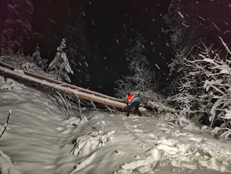 Снегът в Рила и Родопите затрудни движението на теснолинейката