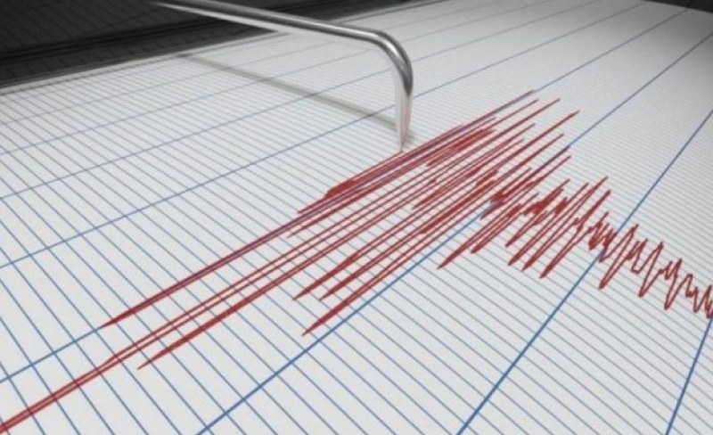 Земетресение е отчетено днес в България. Това информират от Националния