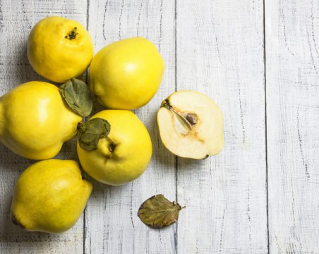 Дюлите и важните ползи от тях за здравето ни