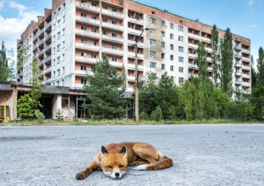Изминаха почти 40 години откакто ядрената катастрофа в Чернобил доведе