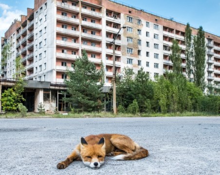 Чернобил - най-големият експеримент за възстановяване на дивата природа