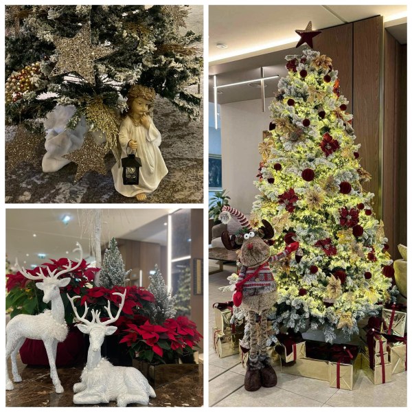 Коледен брънч организира хотел DobuleTree by Hilton Plovdiv. От вкусните