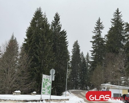 Сняг се сипе на Пампорово