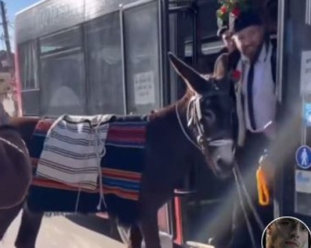 Динко с голямо парти за Коледа, качи магаре в рейс