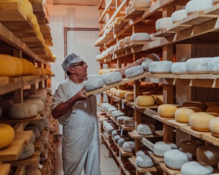 Най-добрите сирена в света