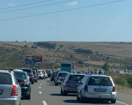 Катастрофа с нелегални мигранти на АМ 