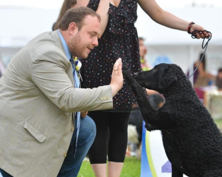 Пловдивски ветеринар: Зарята не трябва да бъде забранена, трябва да има ограничения