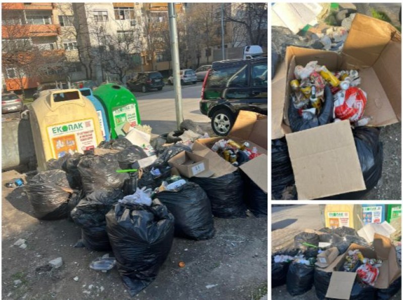 Кметът поиска оставката на шефа на „Чистота” заради мръсния Пловдив и преливащите контейнери