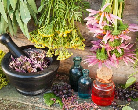 България е световен лидер в производството на патешки черен дроб и билки