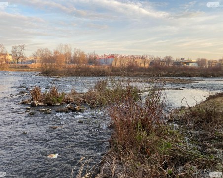 Джунглата в Марица изчезва? Бързат с почистването преди да дойде пролетта