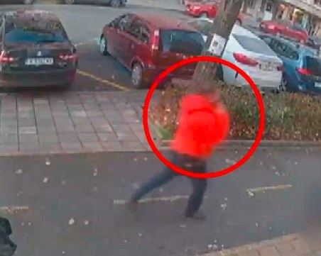 Посред бял ден: Мъж изрита и уби улична котка в центъра на Бургас