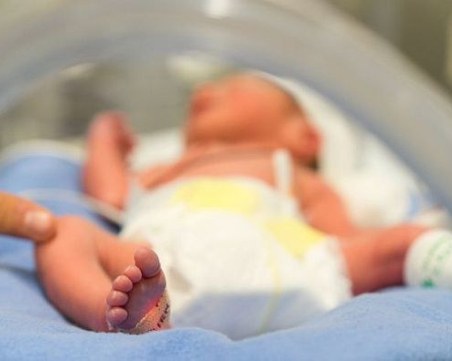 Използването на изкуствена матка за недоносени бебета може да започне още тази година