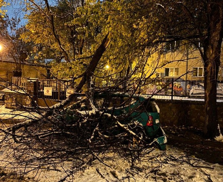 Пловдивчанин осъди Общината за 3000 лв. заради потрошена кола от дърво след буря