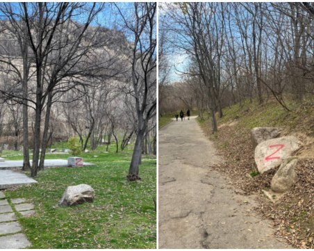 Пловдивчанин: Путинисти поругаха Младежкия хълм, не пожалиха емблематичния козел