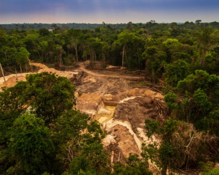 Изсичането на дъждовните гори в Амазония е намаляло с 50% през 2023 г.