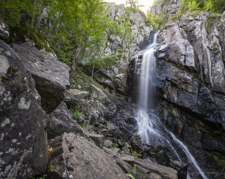 Спасиха падналия мъж в района на Боянския водопад