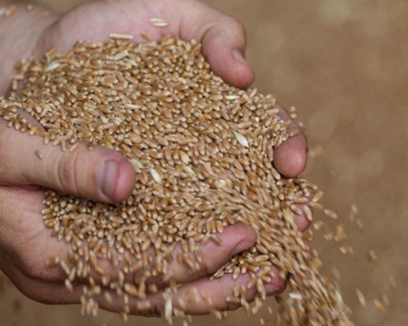 България и още три страни поискаха мито за украинското зърно