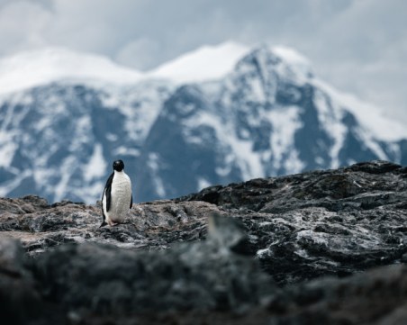 Къде се намира най-сухото място на планетата?