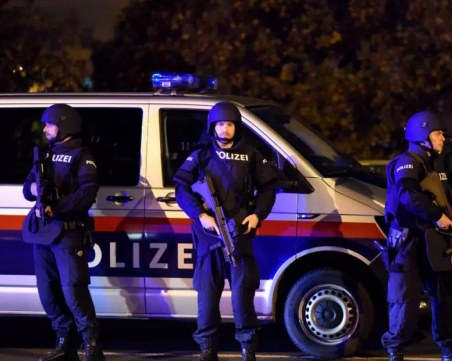 Наркотрафиканти с над 300 кг. дрога са убити на границата между Израел и Египет