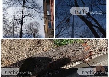 Несгодите  по булеварда който бе ремонтиран най скоро в Пловдив продължават