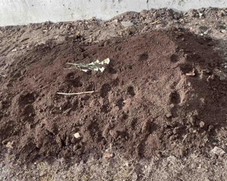 Гроб до детска градина и училище шокира столичани