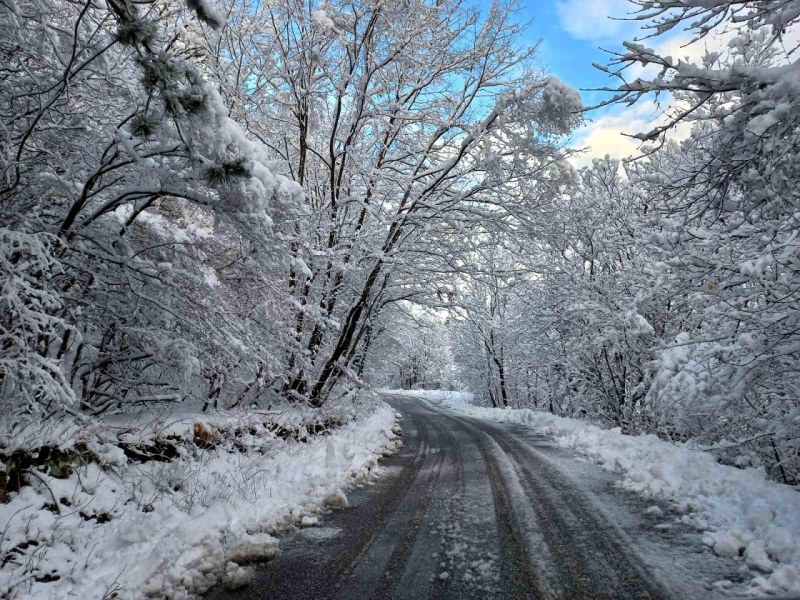 Проф. Рачев: Снеговалежи от неделя, в Пловдив ще има най-малко сняг