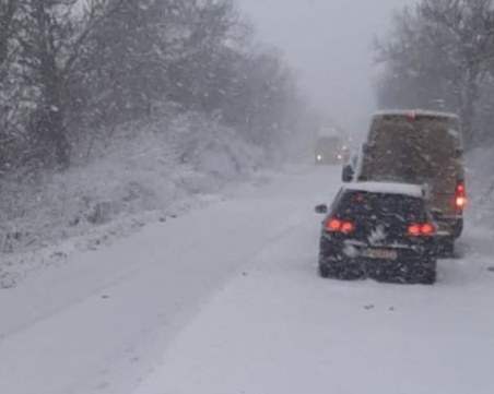 Тежка челна катастрофа между кола и камион на пътя Русе-Плевен