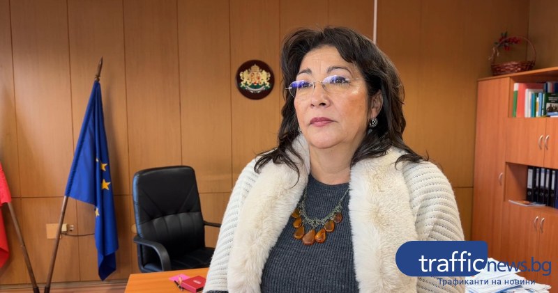 Увеличава се броят на болните от грип в Пловдив. Ще има ли ваканция?