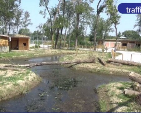 Правят зоопарка в Пловдив по нов модел, свързват и велоалеите с допълнителни трасета