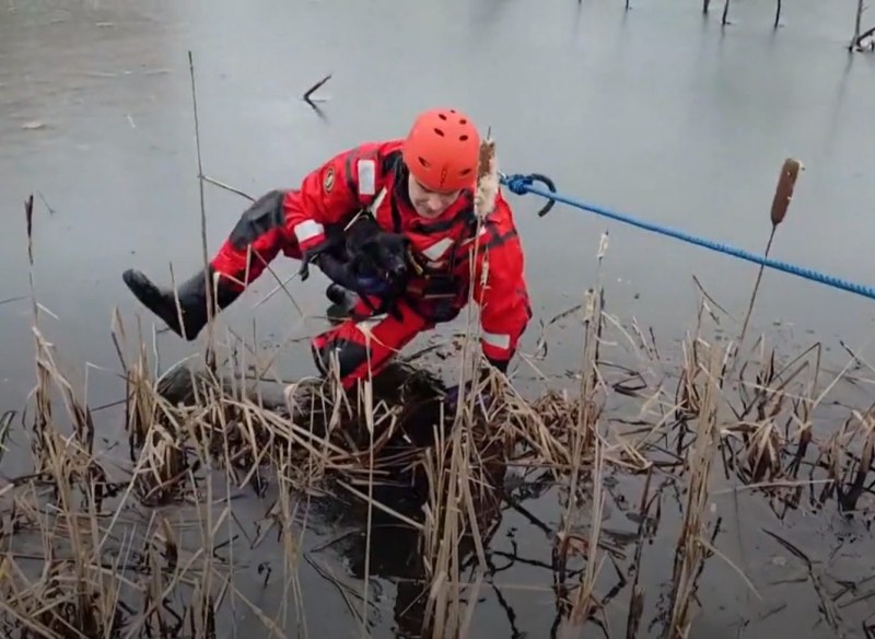 Пожарникари спасиха малко кученце, попаднало в средата на замръзнало езеро