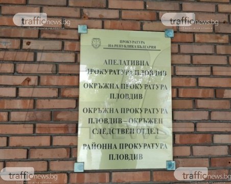 Прокуратурата в Пловдив се самосезира за убито куче в пловдивско село
