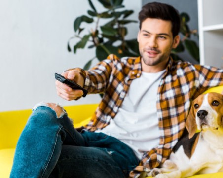 Обичат ли кучетата да гледат телевизия