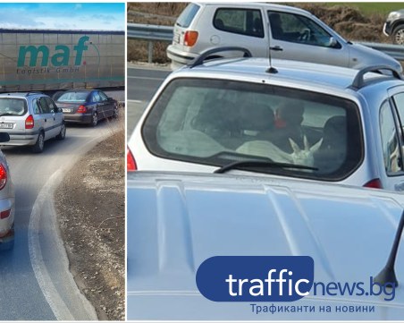 След кокошките на АМ 