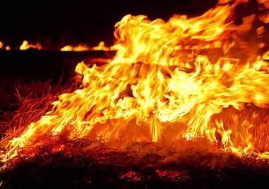 Огнеборци гасят пожара в иглолистна гора в местността Дивчовото община