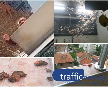 Системен тормоз над семейство в Кючука! Мъж хвърля пиратки и изпражнения в терасата им