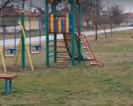 Жители на Златвръх: Тровят масово кучетата в селото, отрова има и на детските площадки