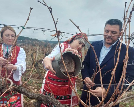 На Трифoн Зарезан зарязаха лозите за берекет в община „Родопи