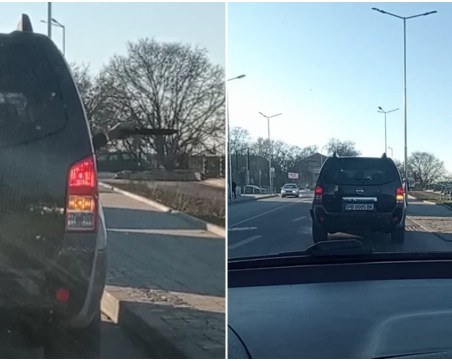 Джипът, от който размятаха мачете в центъра на Пловдив - собственост на богат род от Асеновград